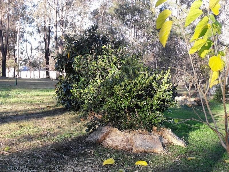Nanango QLD 4615