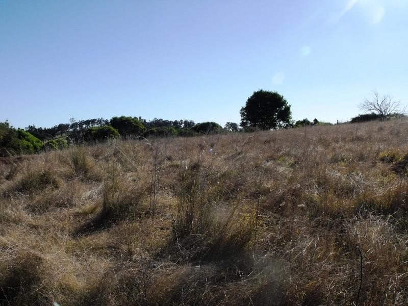 LOT 6 S Kerton Road, Nanango QLD 4615