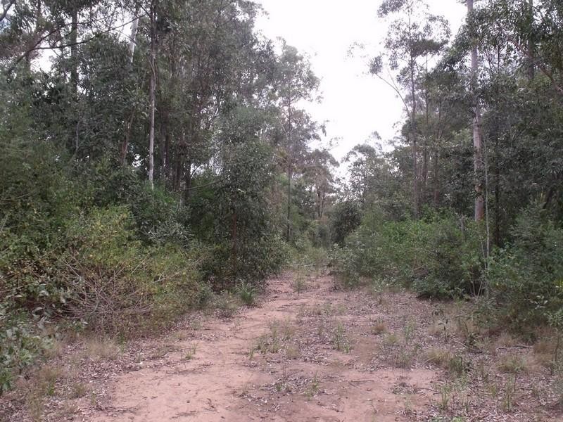 Benarkin QLD 4306