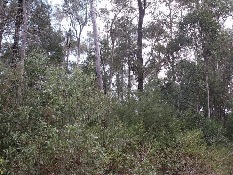 Benarkin QLD 4306