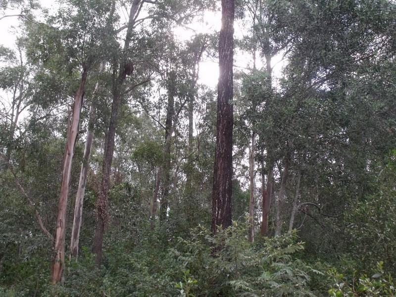 Benarkin QLD 4306