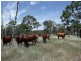 Cooyar QLD 4402