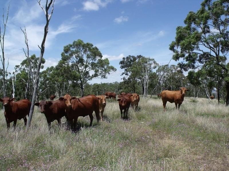 Cooyar QLD 4402