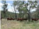 Cooyar QLD 4402