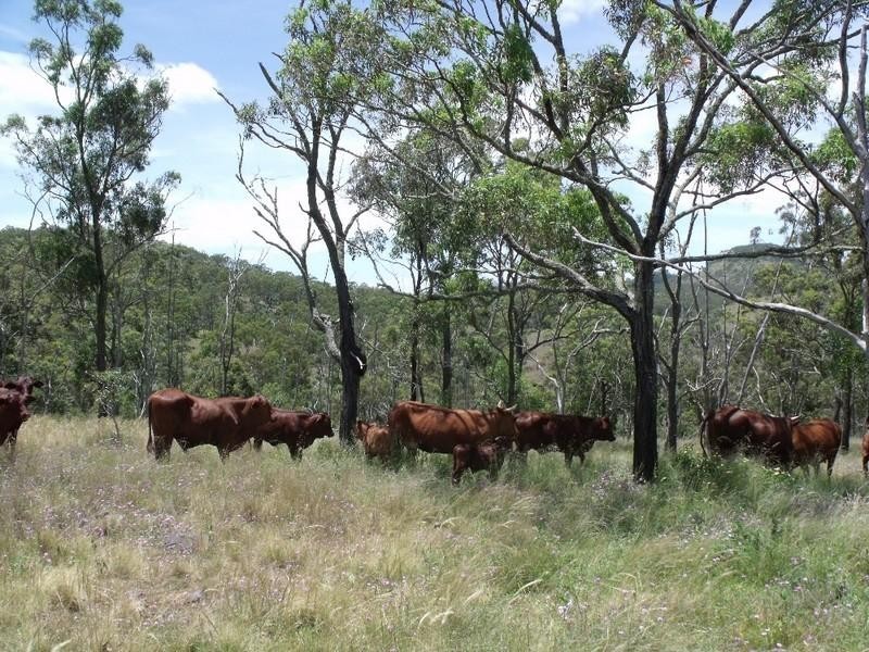 Cooyar QLD 4402