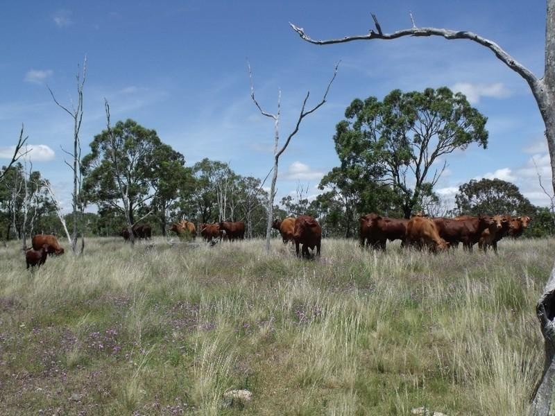 Cooyar QLD 4402