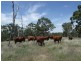 Cooyar QLD 4402