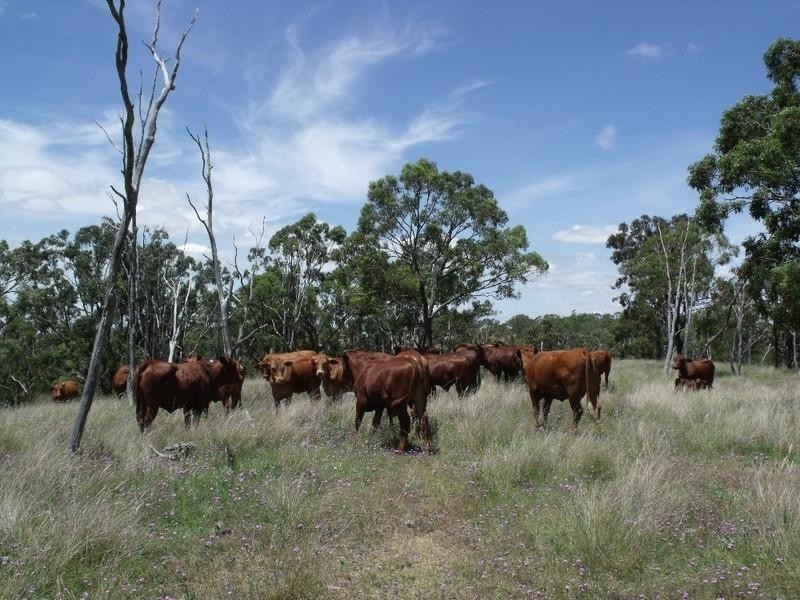 Cooyar QLD 4402