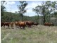 Cooyar QLD 4402