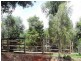 South Nanango QLD 4615