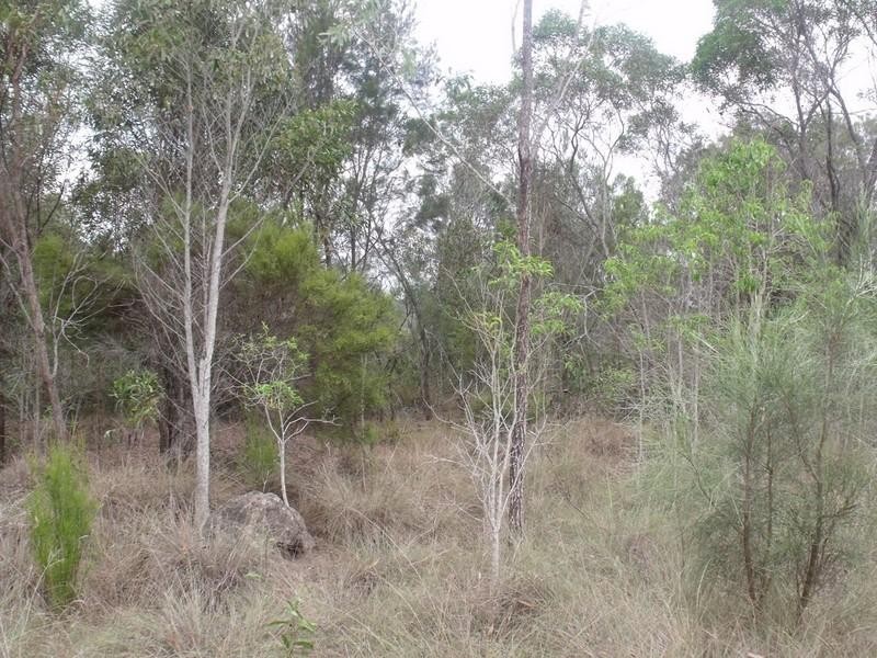 South Nanango QLD 4615