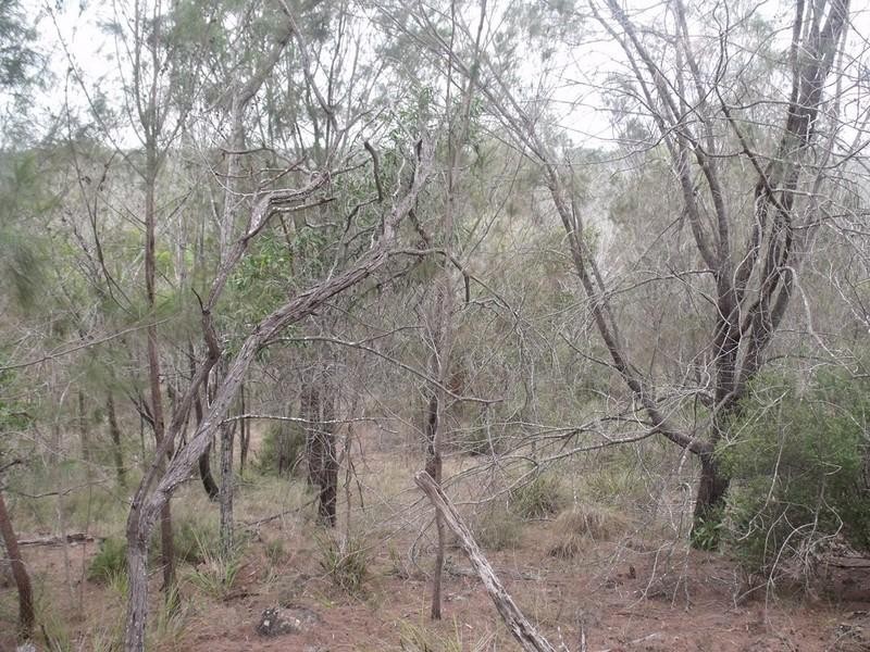 South Nanango QLD 4615