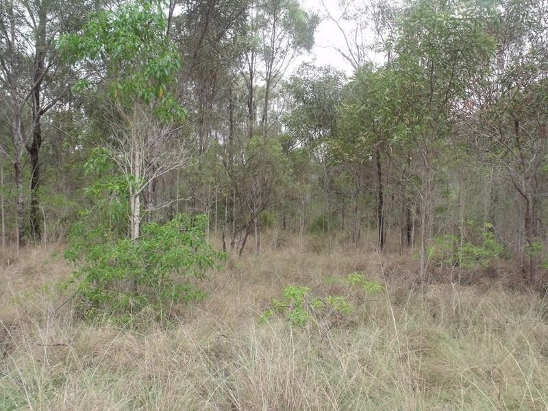 South Nanango QLD 4615