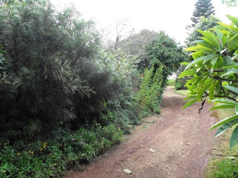 Upper Yarraman QLD 4614