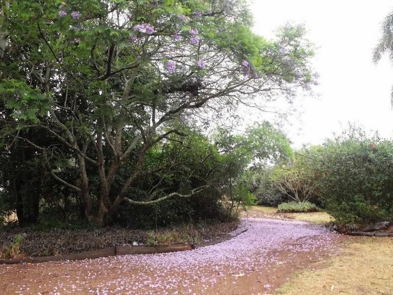 Upper Yarraman QLD 4614