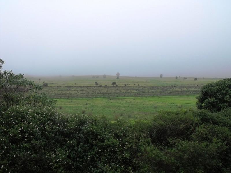 Upper Yarraman QLD 4614