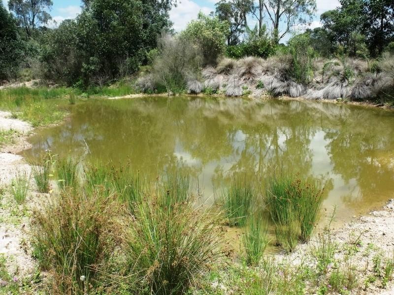 89 Tanduringie Drive, Tarong QLD 4615