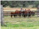 Booie QLD 4610