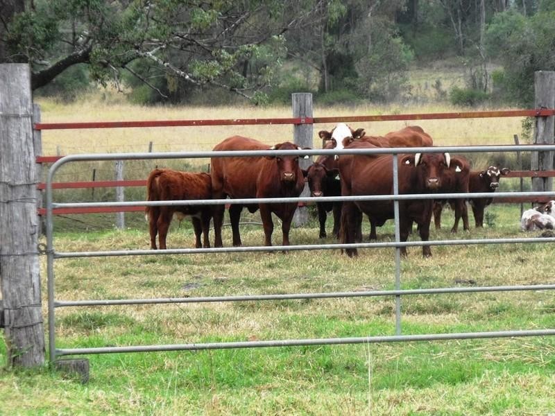 Booie QLD 4610