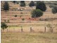 Booie QLD 4610