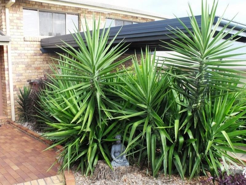 124 Brisbane Street, Nanango QLD 4615