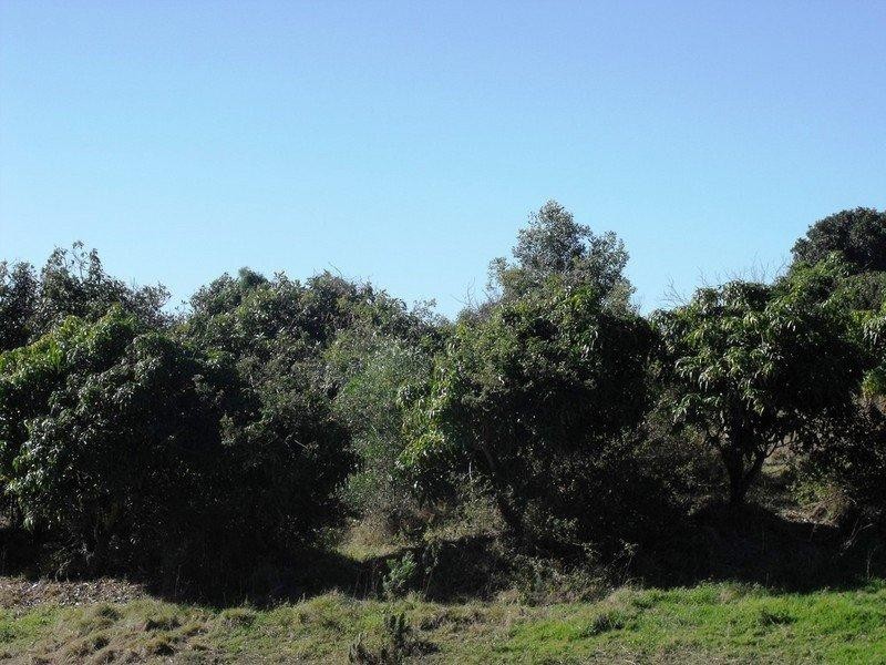 South Nanango QLD 4615