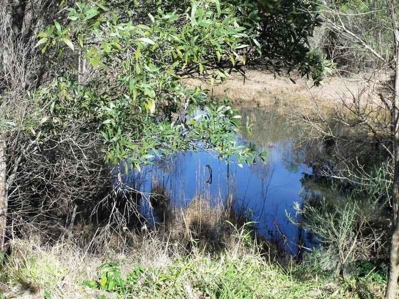 South Nanango QLD 4615