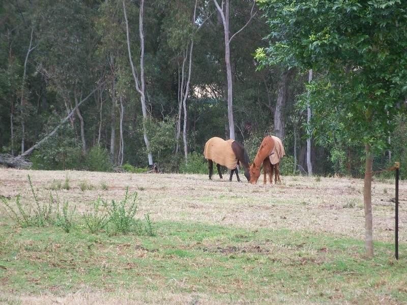 79 Belair Drive, Kingaroy QLD 4610