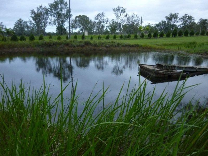 Nanango QLD 4615