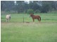 82 Andrews Road, South Nanango QLD 4615
