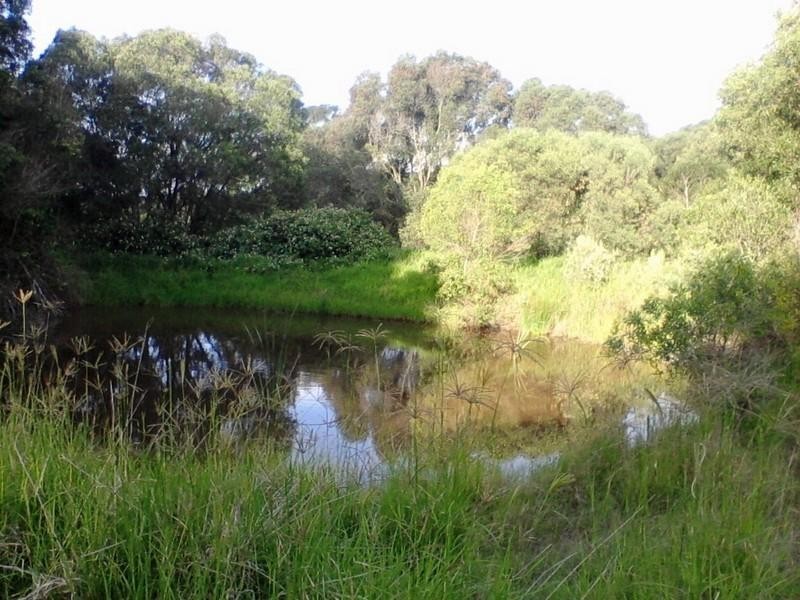 74 Anderson Road, South Nanango QLD 4615