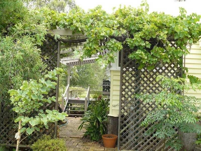 23 Broadwater Access Road, Sandy Ridges QLD 4615