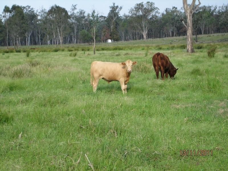 23 Broadwater Access Road, Sandy Ridges QLD 4615