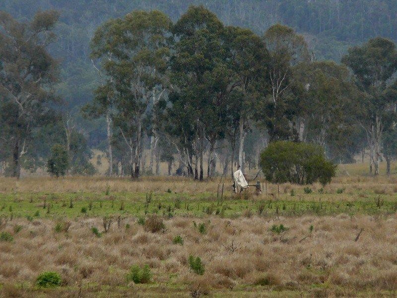 23 Broadwater Access Road, Sandy Ridges QLD 4615