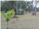 60 Templeton Road, Nanango QLD 4615