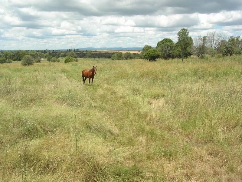 121 Johnstons Road, Mannuem QLD 4610