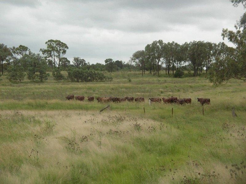 121 Johnstons Road, Mannuem QLD 4610