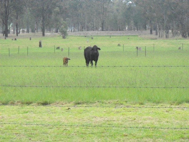 1311 Memerambi Gordonbrook Road, Kingaroy QLD 4610