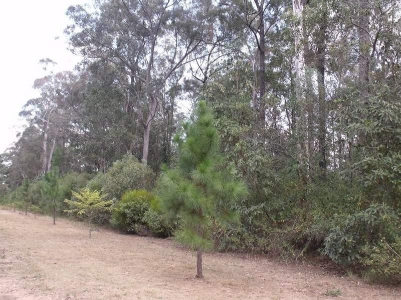 Benarkin QLD 4306