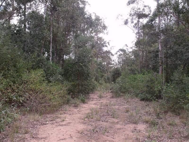 Benarkin QLD 4306