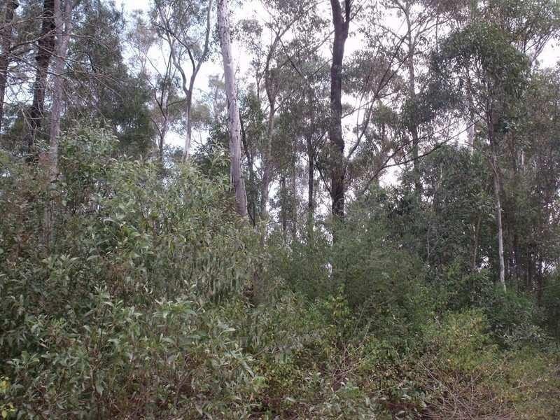 Benarkin QLD 4306