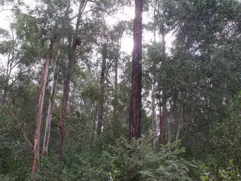 Benarkin QLD 4306