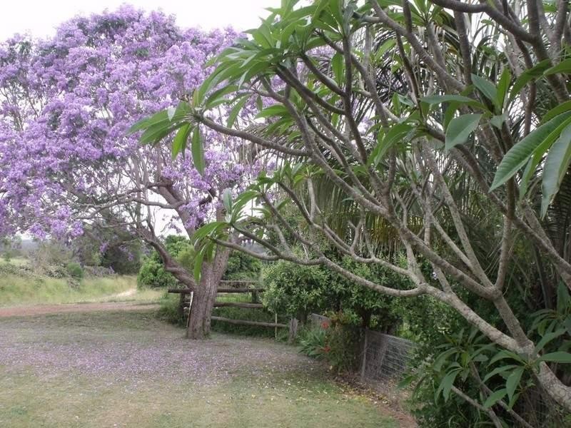 54-118 Rackemann, Kingaroy QLD 4610