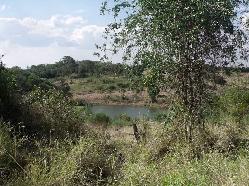 South Nanango QLD 4615