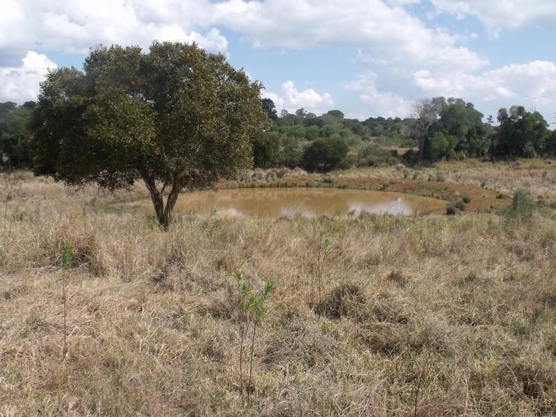 South Nanango QLD 4615