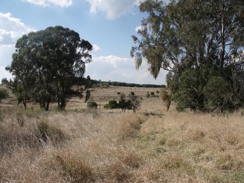 South Nanango QLD 4615