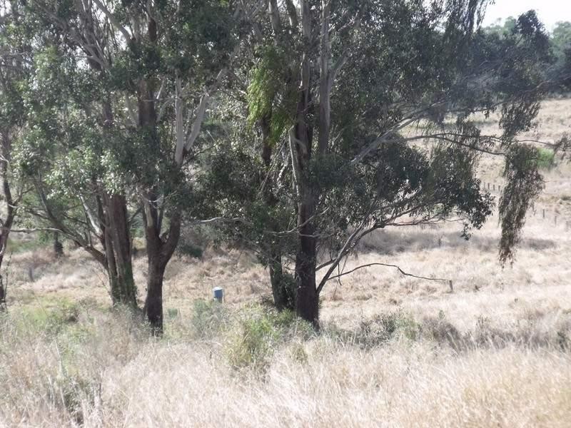 South Nanango QLD 4615