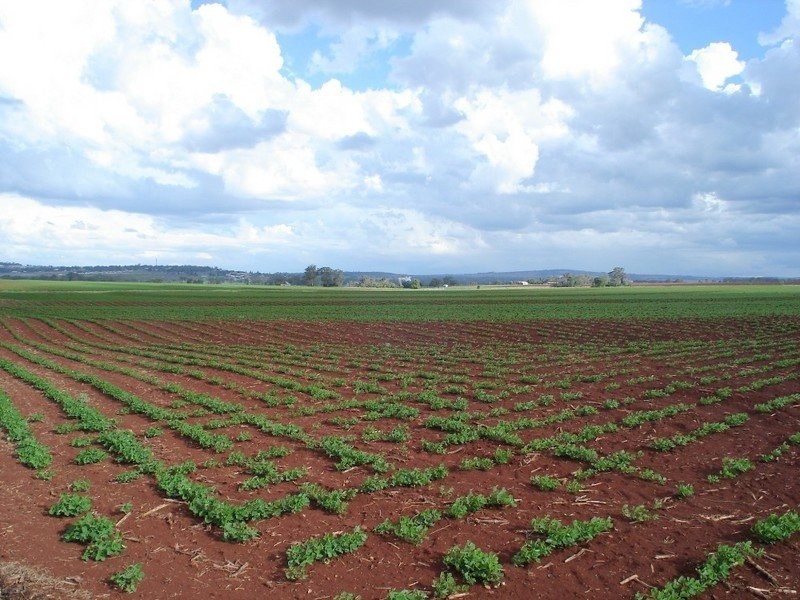 1 West Street, Kingaroy QLD 4610