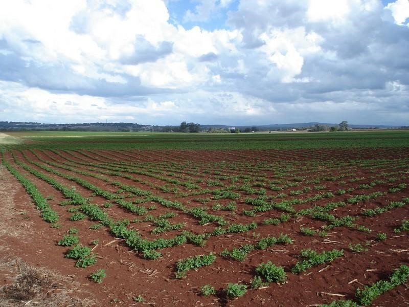 1 West Street, Kingaroy QLD 4610