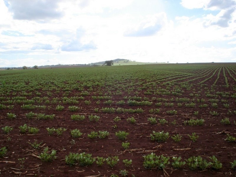 1 West Street, Kingaroy QLD 4610